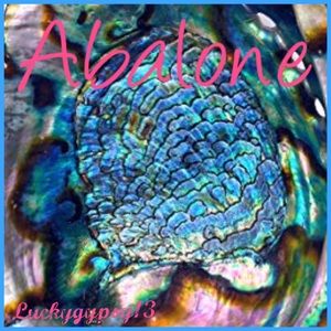 Abalone Shell Jewelry